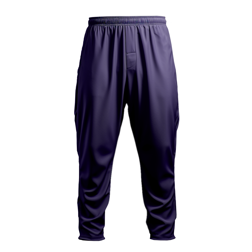 Gym Pants: Relaxed Purple Regular