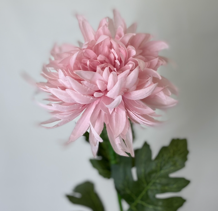 Build your Bouquet