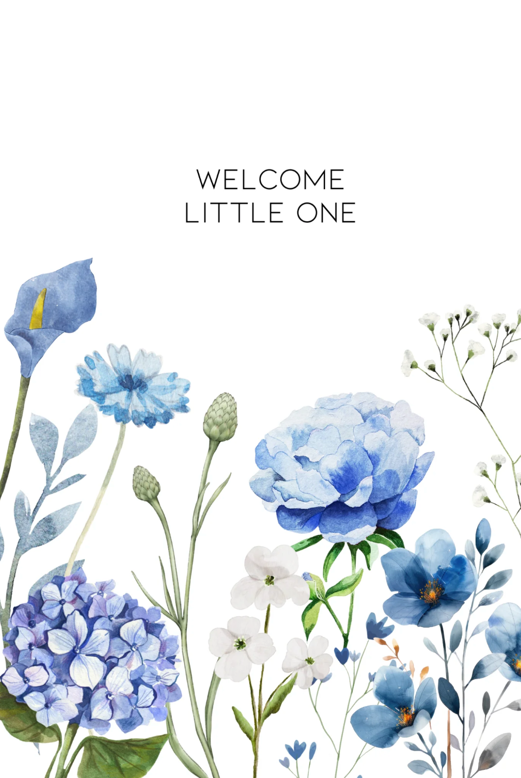 Occasssion Card