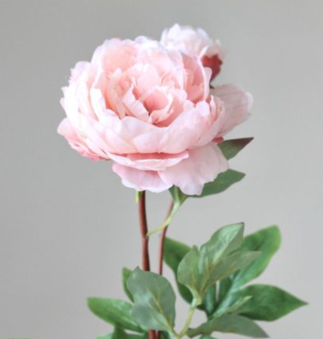 Build your Bouquet
