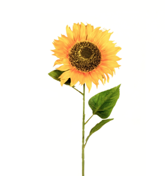 Build your Bouquet