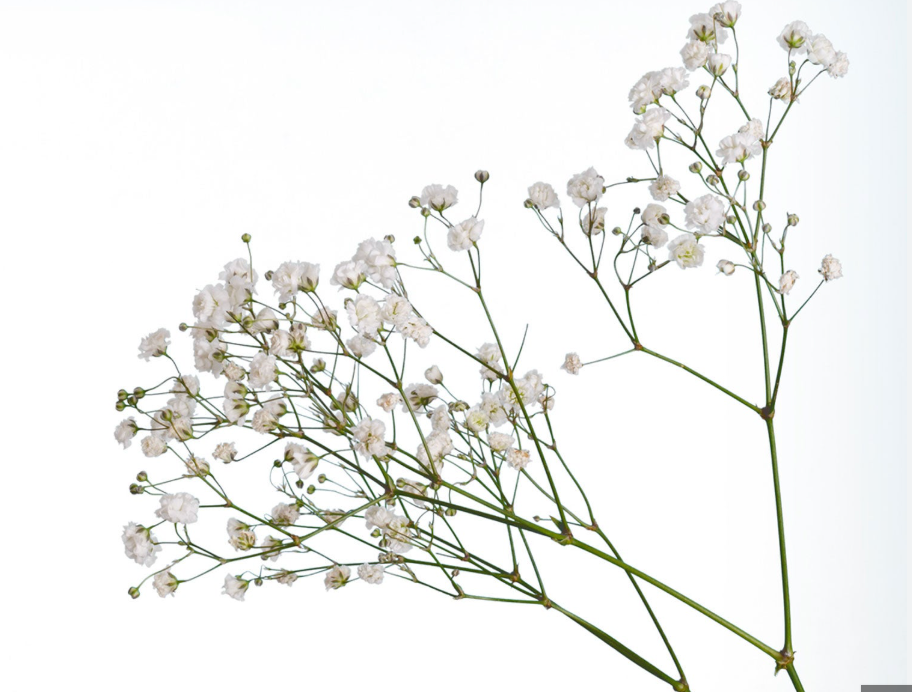 Build your Bouquet